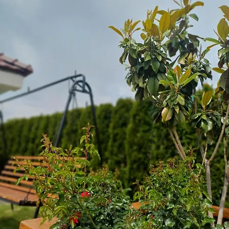 Kuca Za Odmor Loncarevic * Mandelos