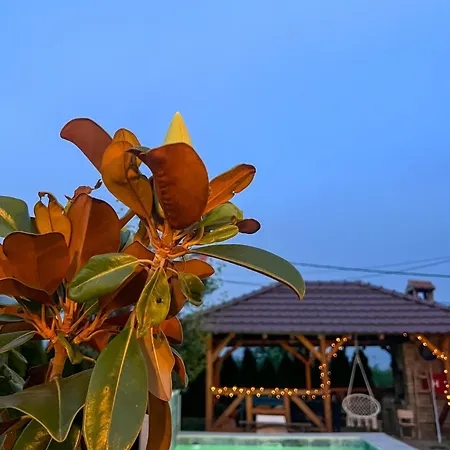 빌라 Kuca Za Odmor Loncarevic